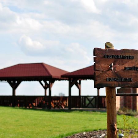 Вилла Modrzewiowe Wzgorze Promno Экстерьер фото