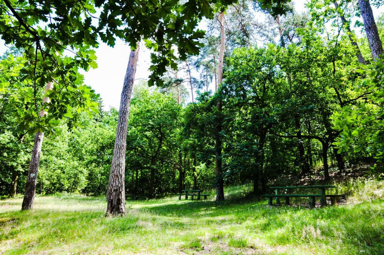 Вилла Modrzewiowe Wzgorze Promno Экстерьер фото